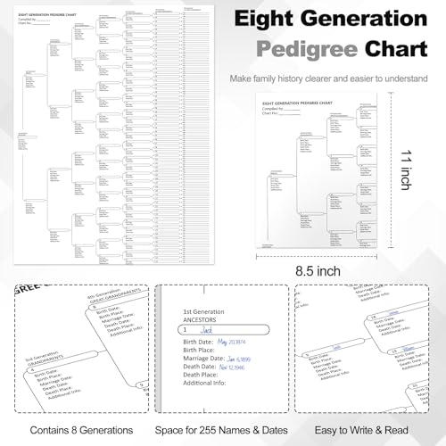 Family History Binder 3 Ring 50 Family Group Sheets 12th Generation 16 Sheets Genealogy Binder Dividers Family Tree Chart Genealogy Supplies with Pen Loop PVC Pocket For Organizer Family History Black