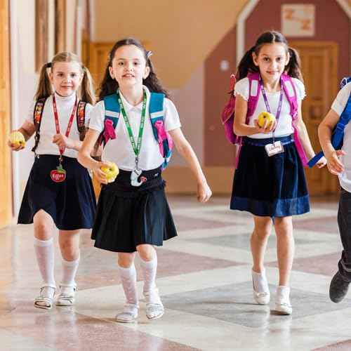 6 Pcs Acrylic Hall Pass Lanyards Unbreakable School Passes Set for Cute Classrooms Hall Restroom Library Office and Nurse School Students Teacher Supplies