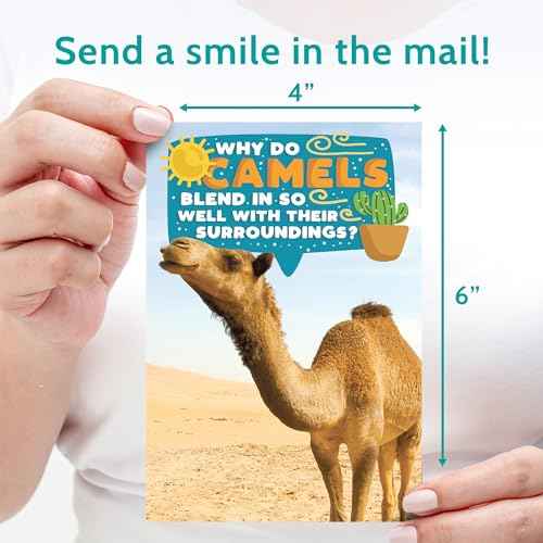 T MARIE 40 Funny Animal Joke Postcards with No Repeats - 4x6¡± Humorous Bulk Thinking of You Postcards for Kids, Grandkids, Students, and Teachers, Summer Camp, Lunchboxes and More