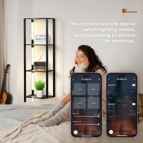 LED Floor Lamp with Shelves, Shelf Lamp with Remote for Bedroom and Living Room, Corner Display Floor Lamps with Storage, Modern Dimmable Floor Lamp with 5-Tier Open Shelve (Black)
