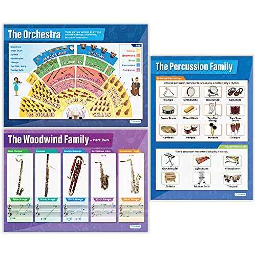 Daydream Education Instrument Family Orchestra Music Posters for Classroom - Set of 6 - Gloss Paper - EXTRA LARGE - 33" x 23.5" - Music Middle & High School Class Decoration - Wall Charts