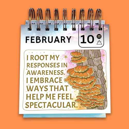 Sweet-A** Affirmations¢ç Perpetual Desk Flip Calendar for 2025 and Beyond, 365 Days of Motivation for Your Creative Magical Mind by Rage Create