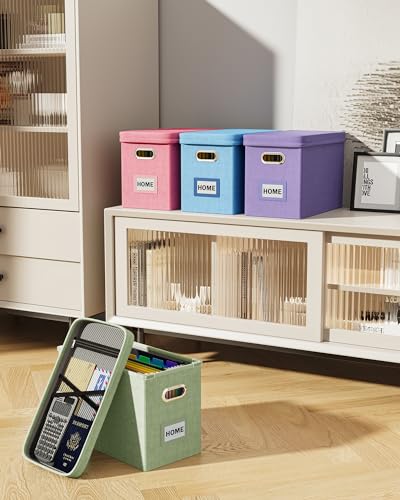 Oterri Green File Organizer Box with Lid, Mesh Pocket & Handles, Letter Size, Portable Storage