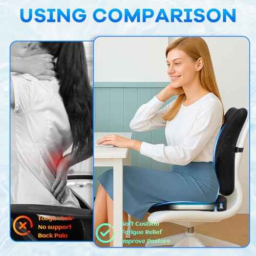 Gel-Infused Seat Cushion & Memory Foam Lumbar Pillow Set,Non-Slip Bottom£¬Breathable Mesh Cover£¬Portable Handle - Ergonomic Support for Office Chair Cushion, Car Seat Cushion and Wheelchair£¬Black