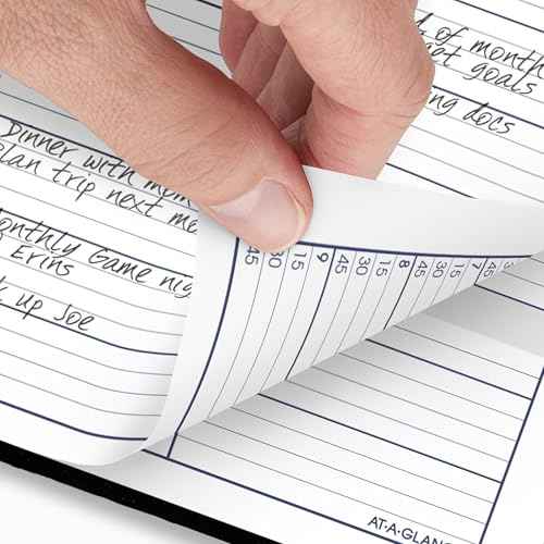 AT-A-GLANCE 2026 Appointment Book Planner, Weekly, 8" x 11", Large, Quarter-Hourly, Hardcover, DayMinder, Black (G520H0026)