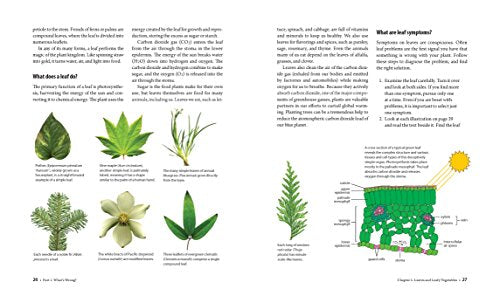 What's Wrong With My Plant? Visual Guide to Diagnosis & Organic Remedies