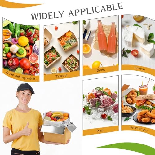 Convivium 2 Pack Insulated Shipping Boxes with Aluminum Foil Liner, 8x5x6 Inches, Hot & Cold Food Delivery