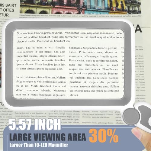 Rechargeable 5X Rectangle Magnifying Glass with Light - Grey & White