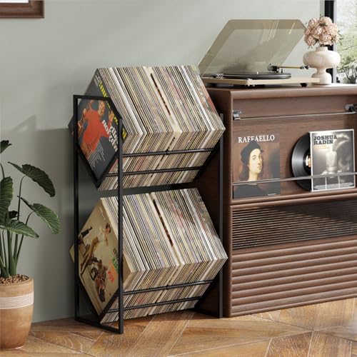 PAPAGIFTREE 2 Tier Vinyl Record Storage Rack - Holds up to 200 LPs, Metal Display Shelf with Adjustable Dividers