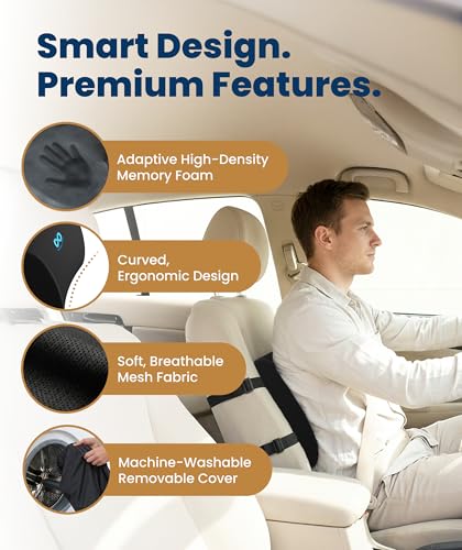 Everlasting Comfort Lumbar Support Pillow for Office Chair & Car - Black Mesh