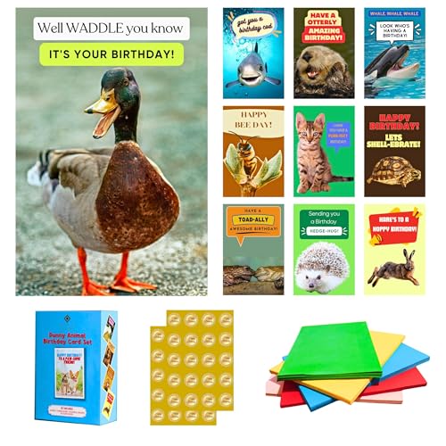 Imperial Designs 40 Pack Funny Punny Birthday Cards with Envelopes and Stickers - 20 Unique Designs - for Kids, Office, Teachers - Assorted Bulk Animal Birthday Cards (Medium, 4x6'', Blank Inside)
