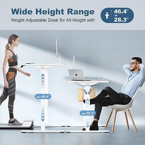 DUMOS 40-Inch Electric Standing Desk with Memory, Adjustable Home Office Desk