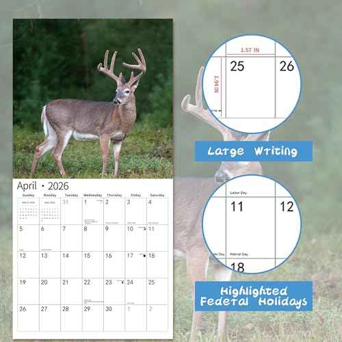2026 Wall Calendar,Calendar 2026, November 2025 - December 2026, Wall Calendar Whitetail Deer, 12" x 24" Opened,Full Page Months Thick & Sturdy Paper for Gift Perfect Calendar Organizing & Planning