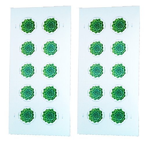 Green Succulent Sheet of 10 Global USPS First Class International Forever Postage Stamps (2)