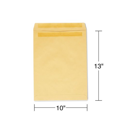 Staples 534818 Self Seal Catalog Envelopes 10-Inch L X 13-Inch H Brown 100/Bx (534818/19022)