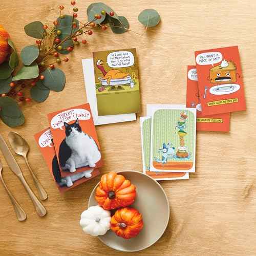 Hallmark Shoebox Funny Thanksgiving Card Assortment (16 Cards and 16 Envelopes) for Friendsgiving, Family, Coworkers