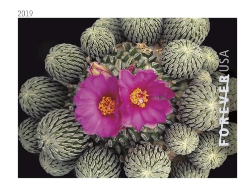 USPS Forever First Class Postage Stamps - Cactus Flower Collection, 20 Booklets (100 Stamps)