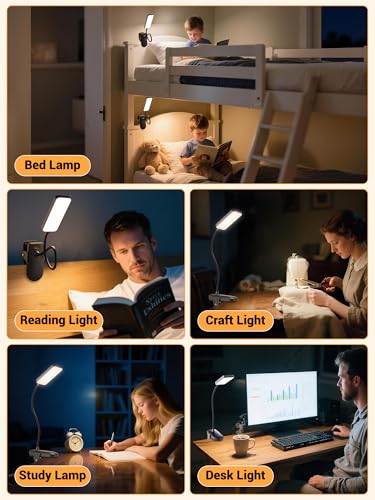ReinHoo Black Clip-On Rechargeable Desk Lamp with 45 Lighting Modes