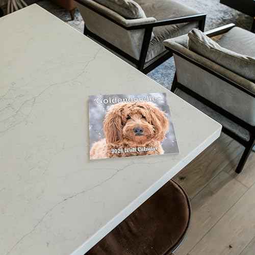2026 Goldendoodles Monthly Wall Calendar | 12" x 24" | Dogs Calendar September 2025- December 2026