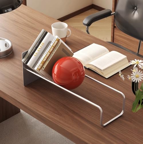 Sekcrlaumix Red Stainless Steel Desktop Magazine Rack & Book Organizer - 18.9 Inches