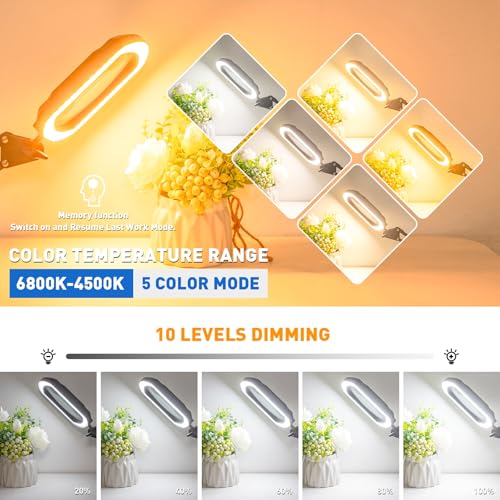 15X Rectangular Magnifying Glass with Light and Clamp for Workbench