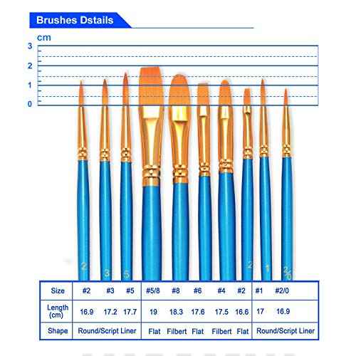 BOSOBO Paint Brushes Set, 2 Pack 20 Pcs Round-Pointed Tip Nylon Hair Artist Acrylic Paint Brushes for Acrylic Painting Oil Watercolor, Face Nail Art, Canvas, Miniature Detailing & Rock Painting, Blue