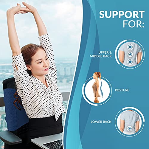 Modvel Lumbar Support Pillow for Office Desk Chair - Memory Foam Back Cushion (MV-101-BLUE)