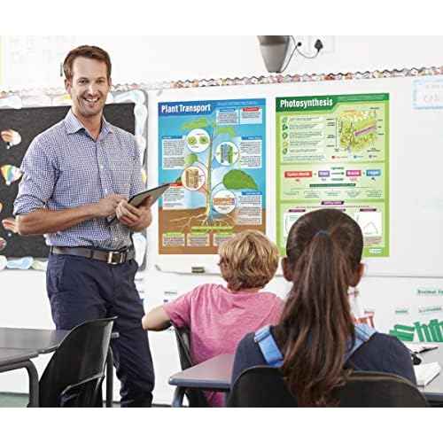 Daydream Education Plants Science Classroom Posters - Set of 4 - EXTRA LARGE 33¡± x 23.5¡± - Laminated - STEM Middle & High School Class Decoration - Wall Charts