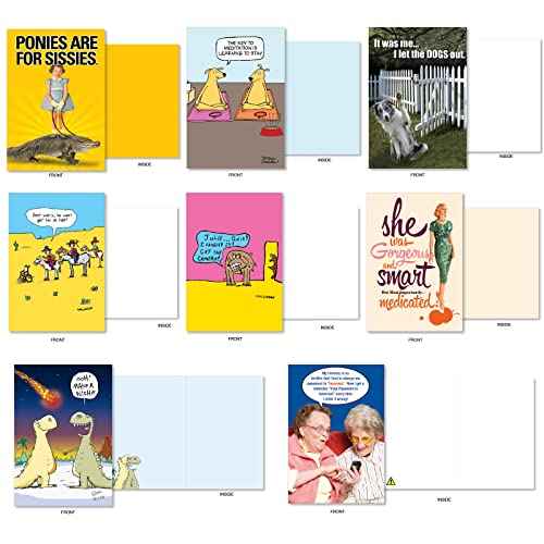 NobleWorks - 36 Assorted Funny Blank Cards Box Set with Envelopes, Mixed Humor Bulk Variety Pack - Just Because, Friendship for Men, Women (36 Designs, 1 Each) - Blank Expressions AC9153OCB-B1x36