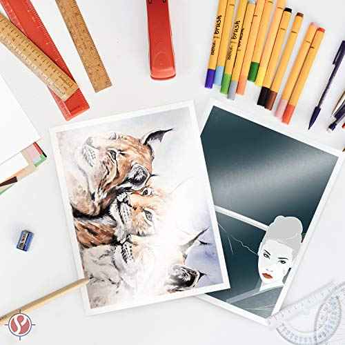 Gloss Digital Paper C2S ? Perfect for Color Laser Printing, Design Proposals, Flyers, Brochures | 11 x 17 | Glossy 80lb Text Paper (32lb Bond) | 94 Bright | Acid Free, Coated Finish | 100 Sheets