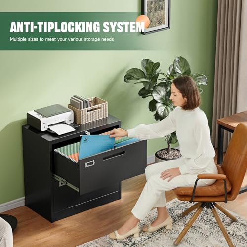 Letaya 2 Drawer File Cabinet with Lock,Metal Lateral Filing for Home