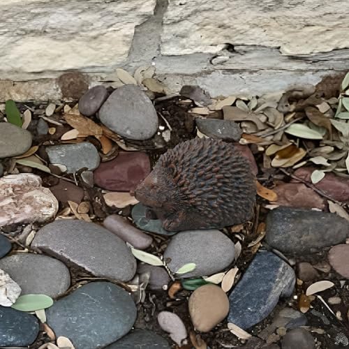 Memeyou Hedgehog Key Hider Rock: Outdoor Weatherproof Secret Key Safe