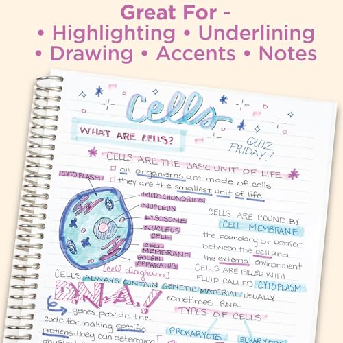 Zebra Pen Mildliner Dual-Tip Highlighters, Broad and Fine Tips, Ideal for Bible Highlighting, No Bleed, School Supplies and Teacher Supplies, Assorted Ink in Easel Back Carrying Case, 25-Pack (78025)