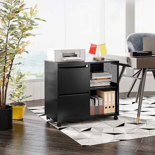 SISESOL Black 2-Drawer Metal File Cabinet with Lock & Shelves, Mobile Office Organizer, Fits Legal/Letter/A4 Sizes