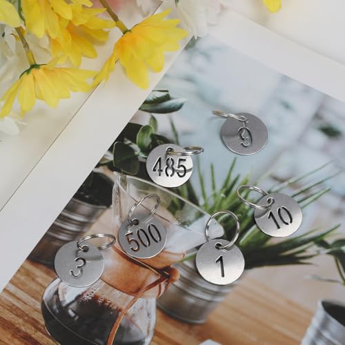 Number Tags with Rings, 25mm 304 Stainless Steel Numbered Key ID Tags, Metal Numbers - 1 to 100