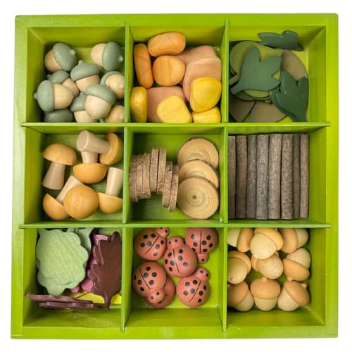 Wooden Sorting & Counting Set with Nature-Themed Pieces and Tray for Kids