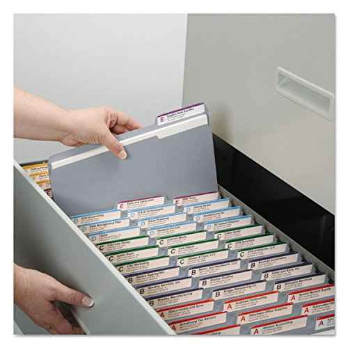 Smead File Folder, Reinforced 1/3-Cut Tab, Letter Size, Gray, 100 per Box (12334)