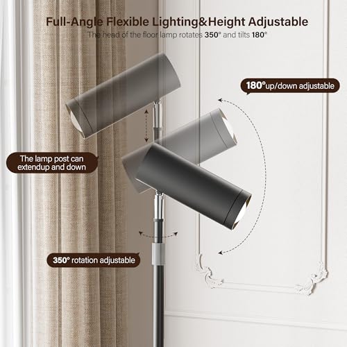 Adjustable Floor Lamp, SIBRILLE Modern Stepless Dimmable Torchiere Tall Lamp with Remote Control, 350¡ÆRotating Head Standing Lamp, Reading Floor Lamp for Living Room, Bedroom, Office & Wall Art, Black