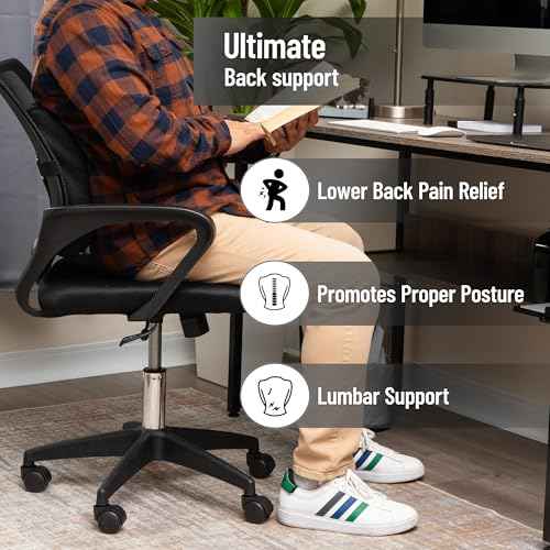 Mind Reader Memory Foam Back Cushion, Lumbar Support, Posture Corrector, Office Chair, Car Seat, 13.5"L x 4"W x 12.25"H, Black