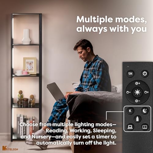 LED Floor Lamp with Shelves, Shelf Lamp with Remote for Bedroom and Living Room, Corner Display Floor Lamps with Storage, Modern Dimmable Floor Lamp with 5-Tier Open Shelve (Black)