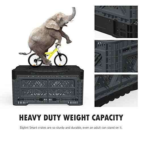 Bigant Heavy Duty Collapsible & Stackable Plastic Milk Crate - Snap Lock Foldable Industrial Garage Storage Bin Container Utility Tote Basket (Charcoal Gray, 1 Medium Crate)