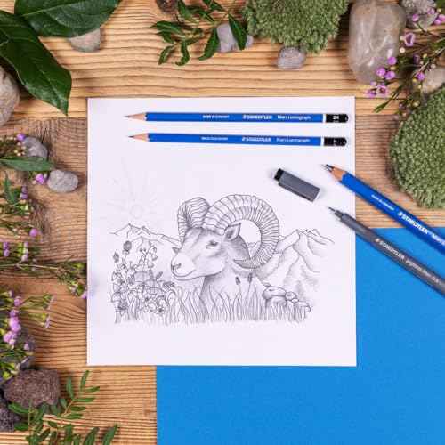 STAEDTLER Mars Lumograph Graphite Artist Pencil Pack, 12 Degrees (8B, 7B, 6B, 5B, 4B, 3B, 2B, B, HB, F, H, 2H), Mars Plastic Eraser, 61 100 P