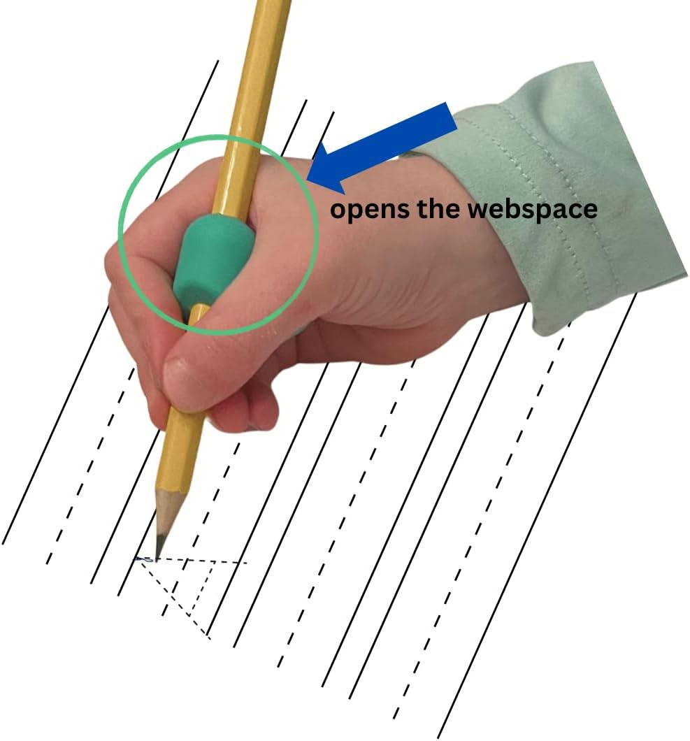 Webster Pencil Grip - Supports Open Thumb-Index Space for Handwriting Readiness | Pack of 3