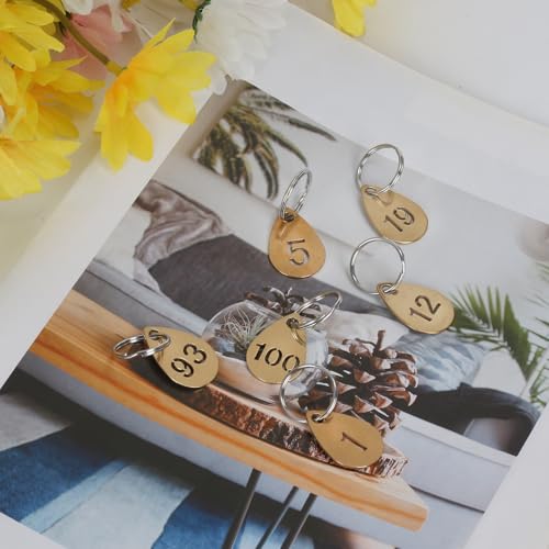 Key Tags with Numbers, Brass Droplet Shaped Key ID Tag, Metal Number Tags, Keychain Labels - 1 to 80