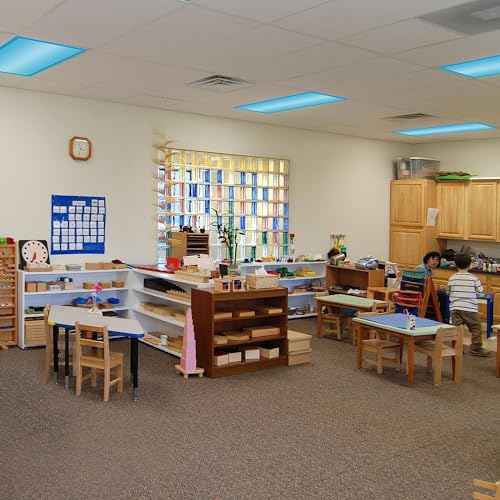 5Pack Fluorescent Light Covers-2x4ft,10 Strong Magnets,Improves Focus, Reduces Headaches & Provides Fluorescent Relief Light Covers for School Classroom Home Office (5)