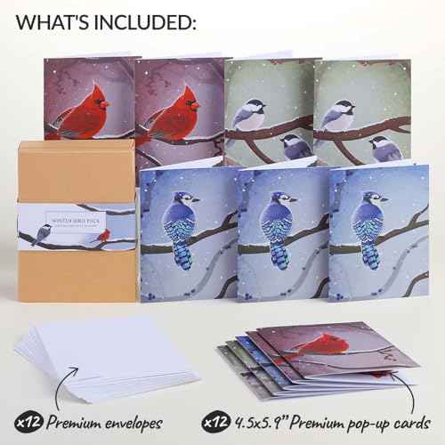 Lovepop Winter Bird Box Set (Assorted 12-Pack) Pop-Up Card for Her and Him - 3D Holiday Greeting Cards for Boys, Girls, Men, Women - 4.5" x 5.9" Paperpop Card - Envelope Included