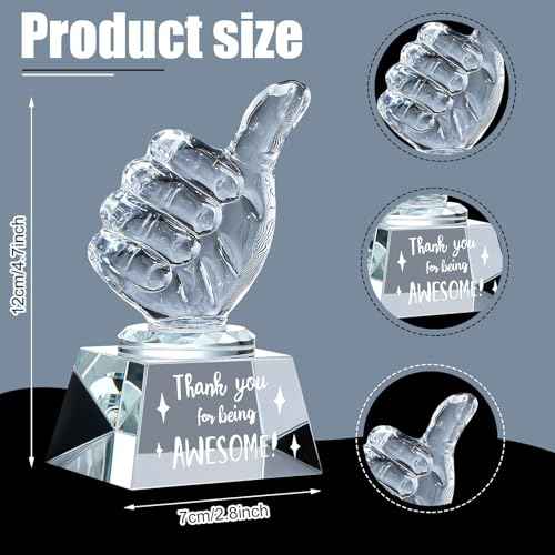 3 Pcs Employee Appreciation Gifts Crystal Awards with Thumbs up Business Gifts Thank You for Being Awesome Trophies for Coworkers Employee Teacher Women Men Office Colleague Christams