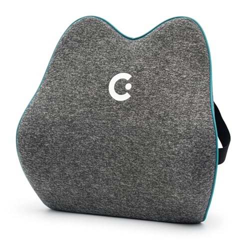 Cubii Cushii V2 17 Inches Lumbar Back Support Cushion for Office Chair — Black
