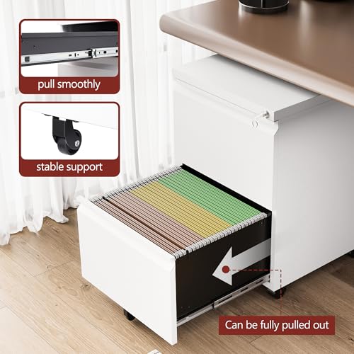 RAVIGIN 2-Drawer Mobile File Cabinet with Lock, Fully Assembled, White