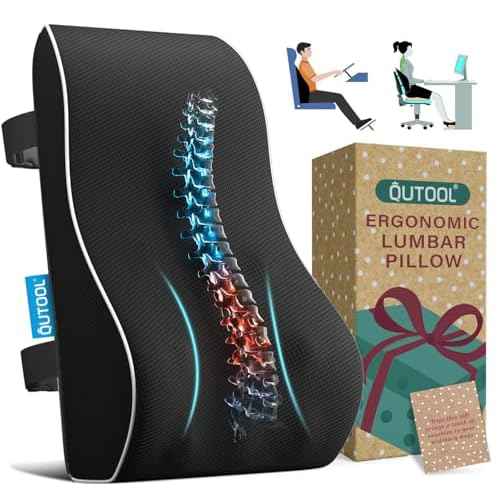 QUTOOL Lumbar Support Pillow with DIY Gift Box - Birthdays Gifts for Women Men, Ergonomic Back Support with Breathable 3D Mesh Cover, Suited for Office Chairs, Gaming Chairs£¬Car, Home Use (Black)
